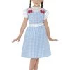 Smiffys Wizard Of Oz Country Girls Dorothy Book Week Costume