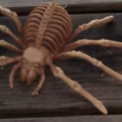 Morris Costumes Pack Of 3 Skeleton Spiders Halloween Props Halloween Props/Decoration