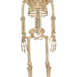 Morris Alien Skeleton Bone 94cm Halloween Decoration Prop Halloween Props/Decoration