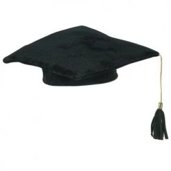 Balloon Agencies Costume Accessories Black Plush Graduation Cap With Tassel Costume Hat
