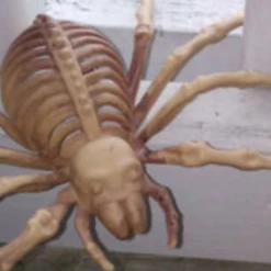 Morris Costumes Pack Of 3 Skeleton Spiders Halloween Props Halloween Props/Decoration