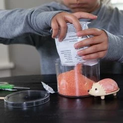 MDI Crystal Growing Hedehog Experimental Kids Arts & Craft Kit Grow Your Own Animal Home & Garden