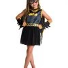 Rubies Deerfield Batgirl Deluxe Dress Toddler Girls Costume
