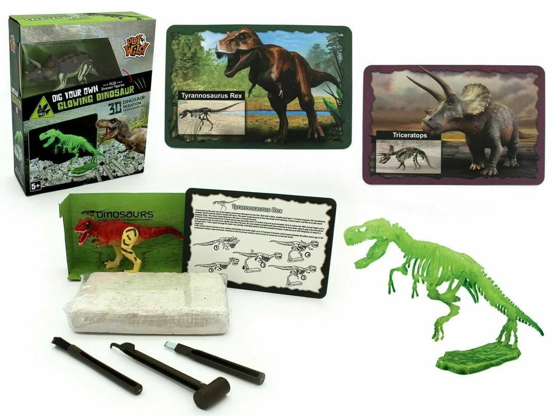 TNW Australia Dinosaur Excavation Kit With D.I.Y Glowing Skeleton Home & Garden 1 TNW Australia Dinosaur Excavation Kit With D.I.Y Glowing Skeleton Home & Garden