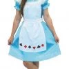Sweidas Costumes Alice In Wonderland Tweens Teens Girls Book Week Halloween Costume