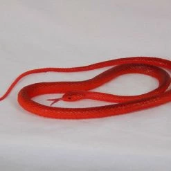 44cm Realistic Trick Toy Simulation Small Rubber Snakes Whimsy