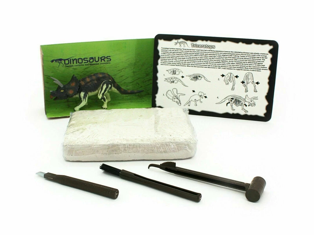 TNW Australia Dinosaur Excavation Kit With D.I.Y Glowing Skeleton Home & Garden 6 TNW Australia Dinosaur Excavation Kit With D.I.Y Glowing Skeleton Home & Garden