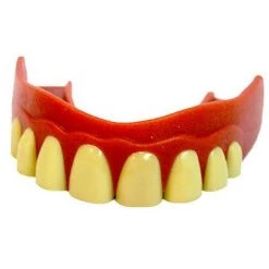 Sweidas Billy Bob Top Row Of False Teeth On Gum Guard