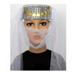 JD Party Princess Arabian Genie Hat With Veil Belly Dance Party Hat Costume Accessories