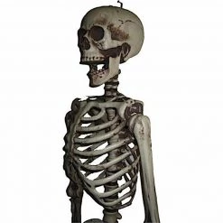 Sweidas Halloween Props/Decoration Realistic Life Size Skeleton Halloween Graveyard Horror Prop Costume Decoration