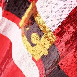 Unbranded Mrs Claus Santa Christmas Ladies Costume Kit