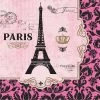 Balloon Agencies A Day In Paris Lunch Napkins 16ct Party Supplies