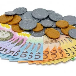 Unbranded 44Pce Australian Play Money Coins & Notes Maths Pretend Shopping Gambling Games