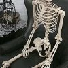 Sweidas Halloween Props/Decoration Realistic Life Size Skeleton Halloween Graveyard Horror Prop Costume Decoration