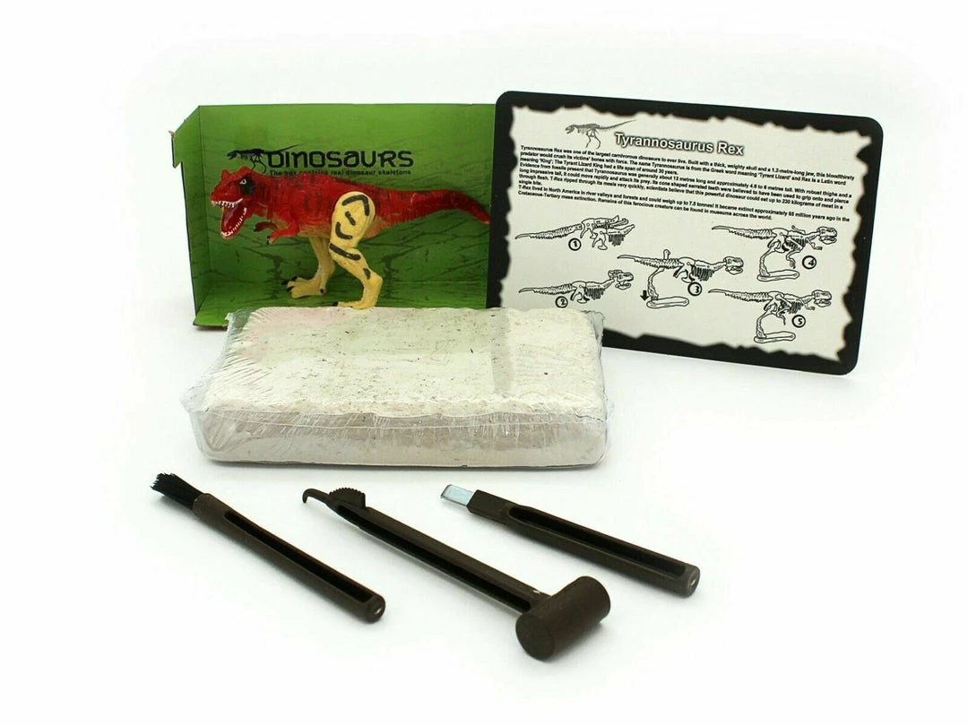 TNW Australia Dinosaur Excavation Kit With D.I.Y Glowing Skeleton Home & Garden 4 TNW Australia Dinosaur Excavation Kit With D.I.Y Glowing Skeleton Home & Garden