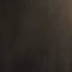 MDI Australia Fly Assassin Gun Fly Swatter Gun Aim & Fire At Insects Mosquitos Ants Spider