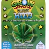 Tomfoolery Grow Your Own Weed Cannabis Drugs Just Add Water Grows 6 Times Original