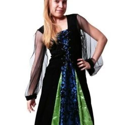 Unbranded Adult Deluxe Witch Halloween Ladies Costume Halloween Costumes