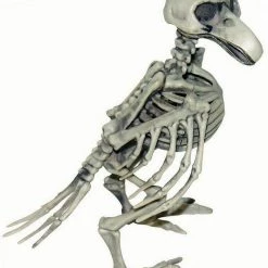 Forum Novelties Halloween Props/Decoration 21cm Tall Creepy Skeleton Bird Parrot Halloween Decoration Prop
