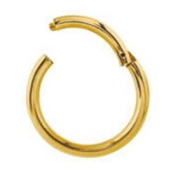 AliExpress Universal Nose Lip Labret Ear Septum Nipple Body Earring Hoop Piercing 12mm