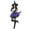 Unbranded Halloween Costumes Fairy Elegant Wicked Gothic Witch Halloween Ladies Costume
