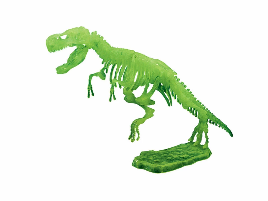 TNW Australia Dinosaur Excavation Kit With D.I.Y Glowing Skeleton Home & Garden 2 TNW Australia Dinosaur Excavation Kit With D.I.Y Glowing Skeleton Home & Garden