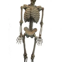 Sweidas 60 Inches Hanging Skeleton Halloween Decoration Prop Halloween Props/Decoration