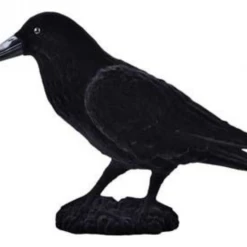 Forum Black Feathered Raven Crow 30cm Halloween Decoration