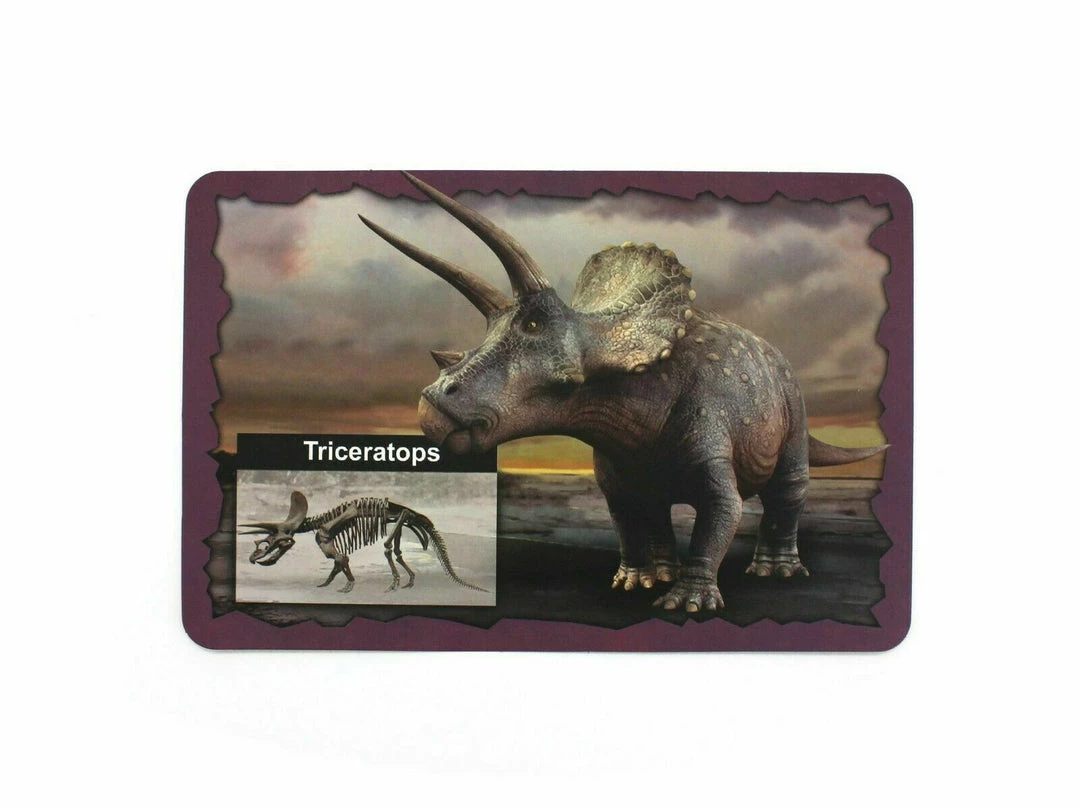 TNW Australia Dinosaur Excavation Kit With D.I.Y Glowing Skeleton Home & Garden 7 TNW Australia Dinosaur Excavation Kit With D.I.Y Glowing Skeleton Home & Garden