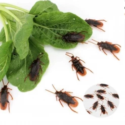 Morris Costumes 10 X Fake Plastic Realistic Cockroaches Bug Insect Halloween Trick Prank