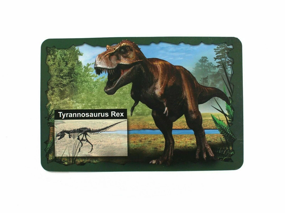 TNW Australia Dinosaur Excavation Kit With D.I.Y Glowing Skeleton Home & Garden 5 TNW Australia Dinosaur Excavation Kit With D.I.Y Glowing Skeleton Home & Garden