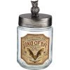 Balloon Agencies Spooks & Spells Witch Skull Owl Apothecary Halloween Decorative Jars Halloween Props/Decoration