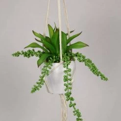 MAL Home & Garden Artificial Plants Hanging Fake Macrame Pots Fern Succulent Plant Green White Pot 5 MAL Home & Garden Artificial Plants Hanging Fake Macrame Pots Fern Succulent Plant Green White Pot