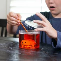 MDI Crystal Growing Hedehog Experimental Kids Arts & Craft Kit Grow Your Own Animal Home & Garden