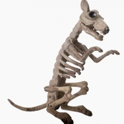 Unbranded Halloween Props/Decoration Skeleton Rat Halloween Decoration Prop
