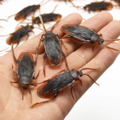 Unbranded 10 Fake Plastic Realistic Cockroaches Bug Insect Halloween Trick Prank Halloween Costumes