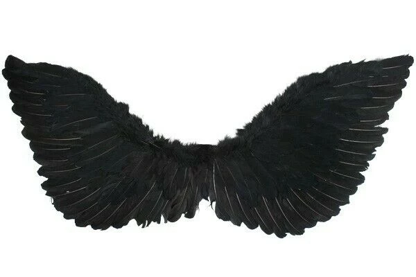 Tomfoolery Small Medium Large Angel Devil Black White Costume Wings Costume Accessories 2 Tomfoolery Small Medium Large Angel Devil Black White Costume Wings Costume Accessories